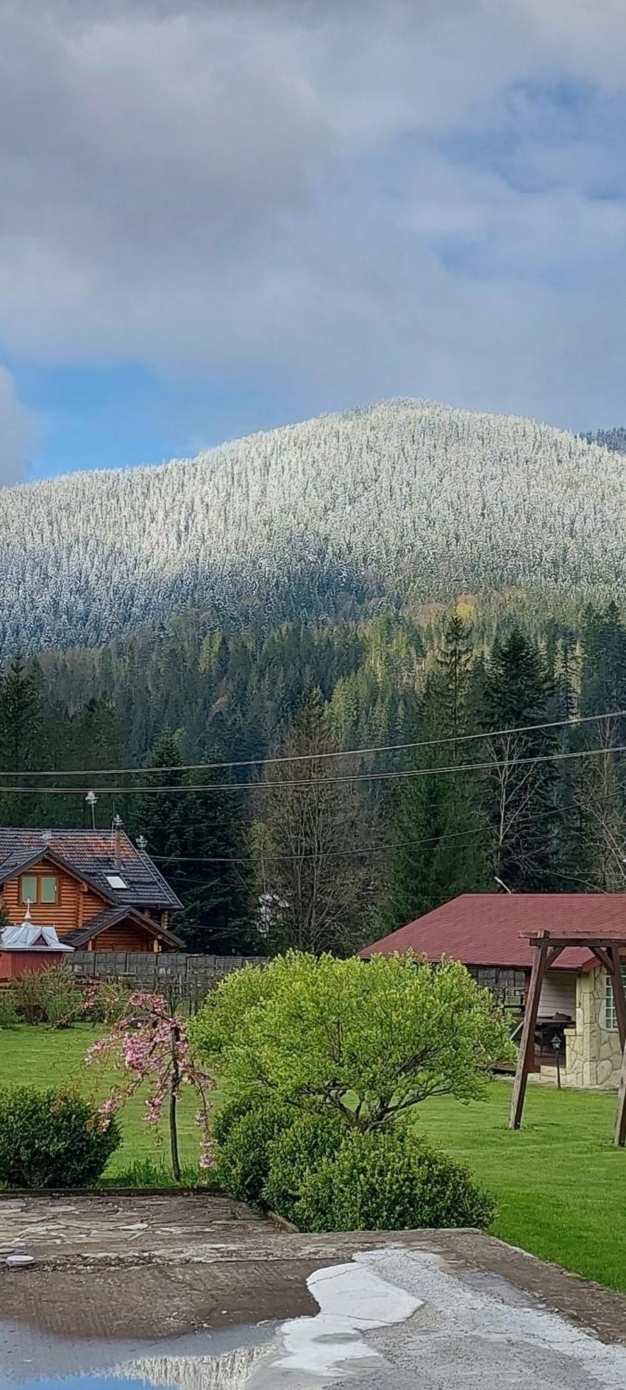Guesthouse Kolo Druziv Tatarów Zewnętrze zdjęcie