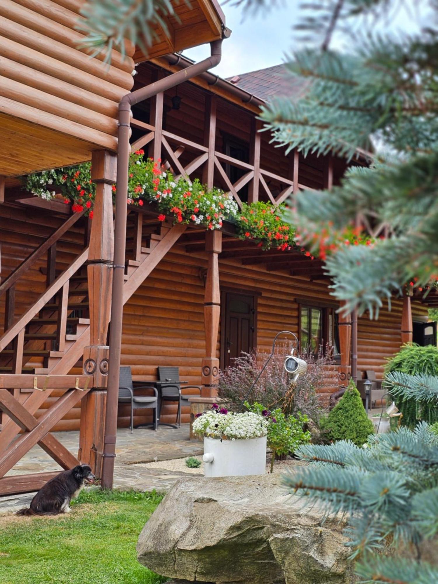 Guesthouse Kolo Druziv Tatarów Zewnętrze zdjęcie